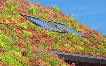 Melcombe Regis living roof systems