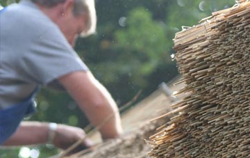 professional Melcombe Regis thatchers